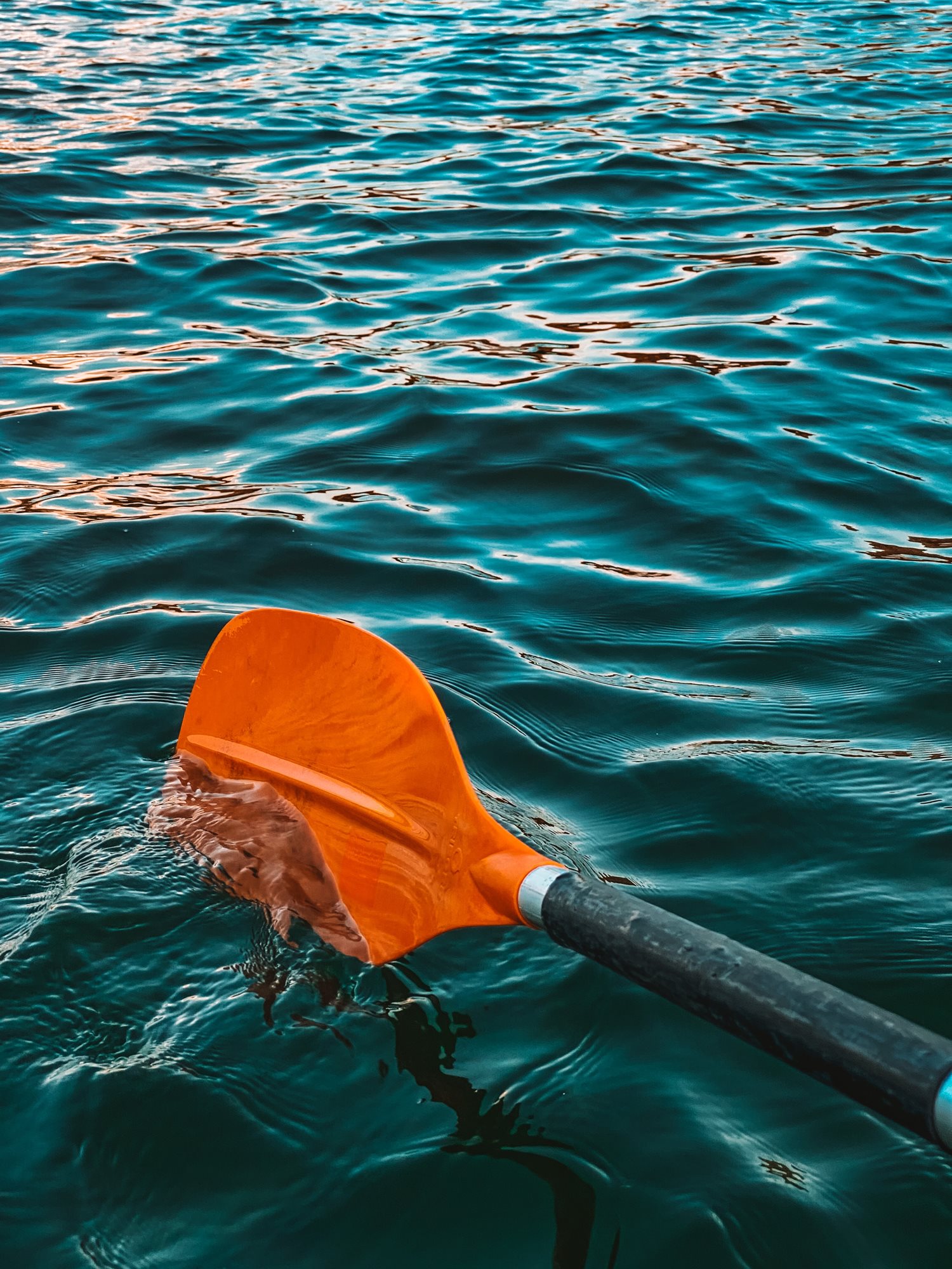 BOAT_IMAGE_GALLERY_6